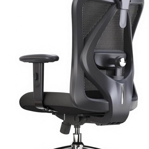 Office Desk Chair, Ergonomic Computer Chair with Adjustable Headrest and Lumbar Support,High Back Executive Swivel Chair